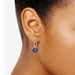 Elegant Blue and Gold Drop Earrings nwt or Red and Gold Earrings nwt